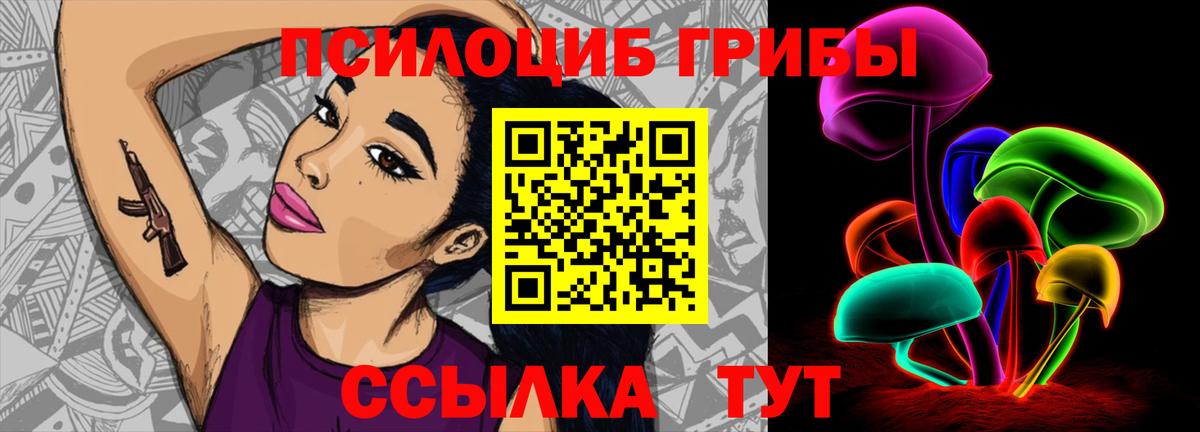 Реутов  Псилоцибиновые грибы MAGIC MUSHROOMS  Вход с VPN 
